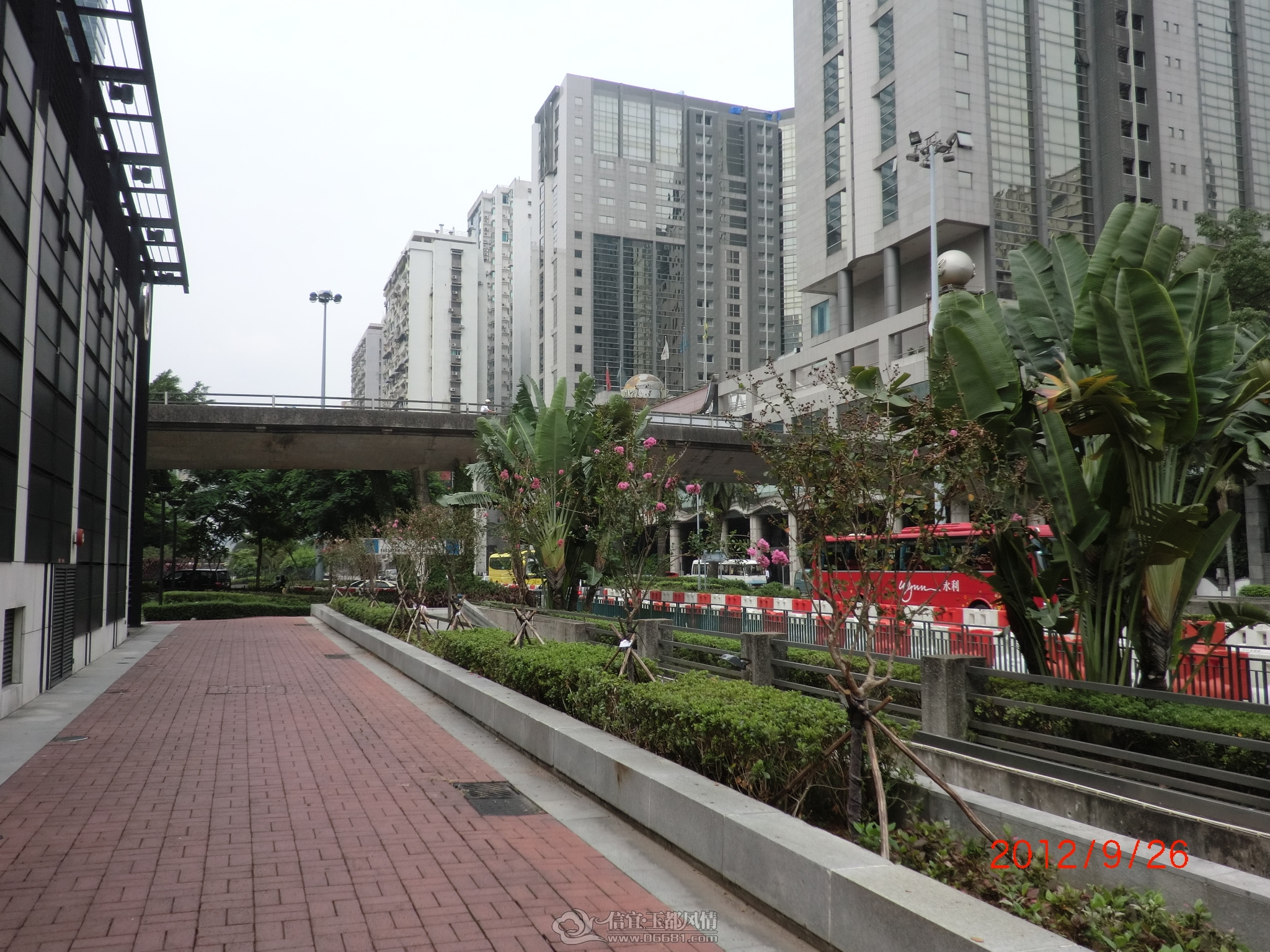 CIMG8474.JPG