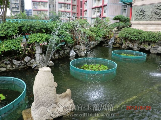 nEO_IMG_CIMG8356.jpg