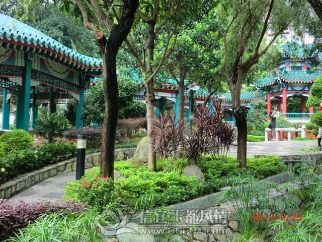 nEO_IMG_CIMG8379.jpg