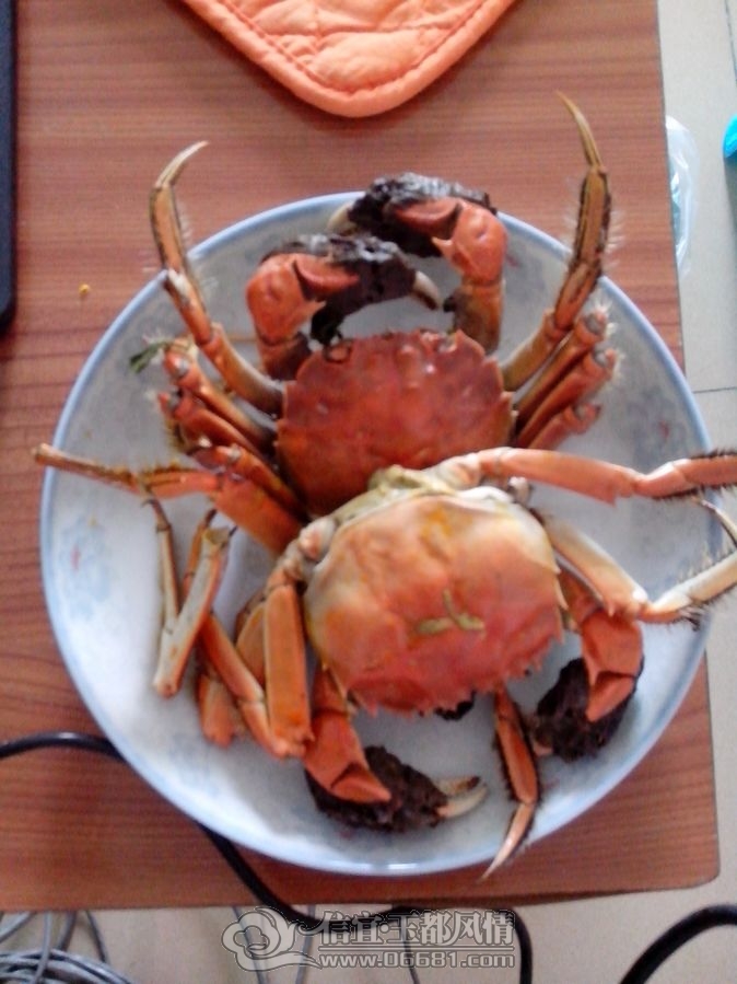IMG_20121003_140727.jpg