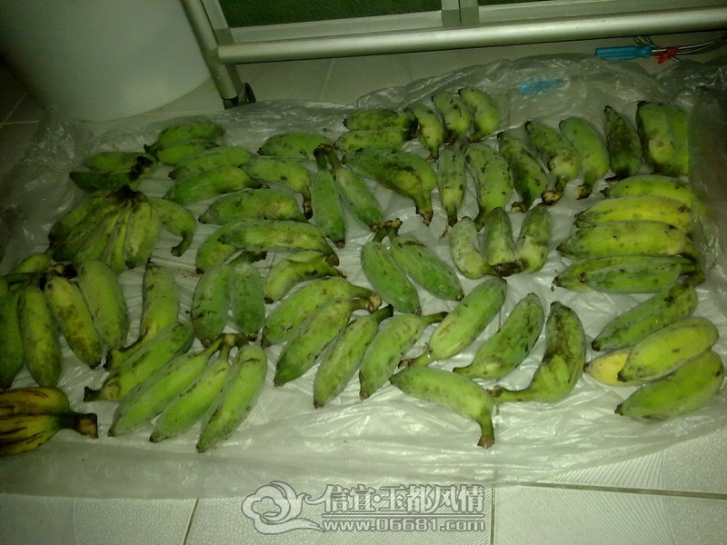 201210071744_��С��С.jpg