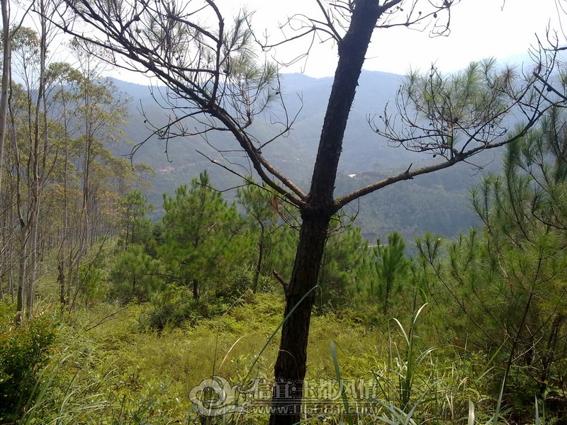 201210031730_��С��С.jpg
