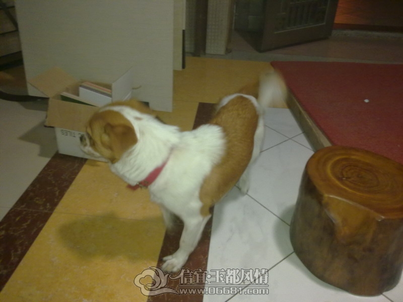 201210011724_��С��С.jpg