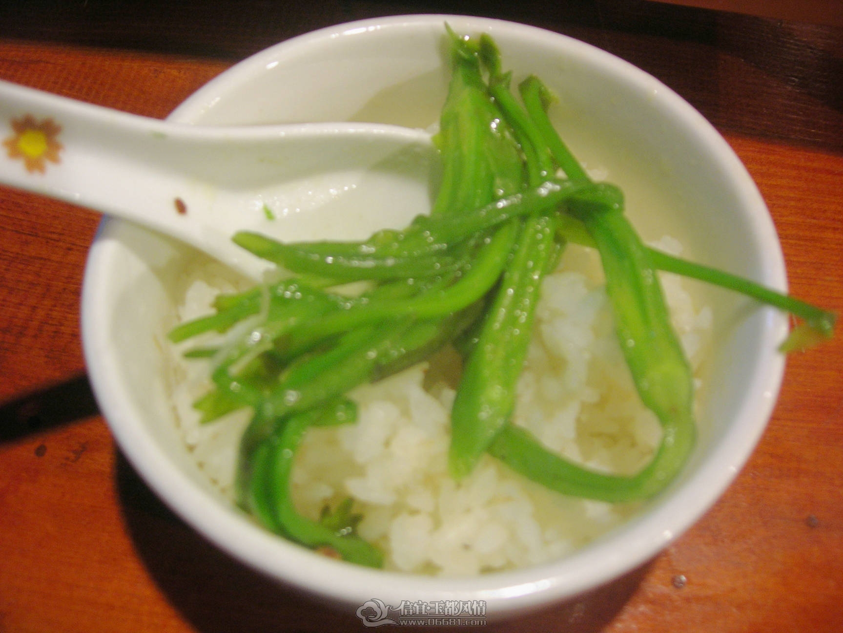 DSCN9995.jpg
