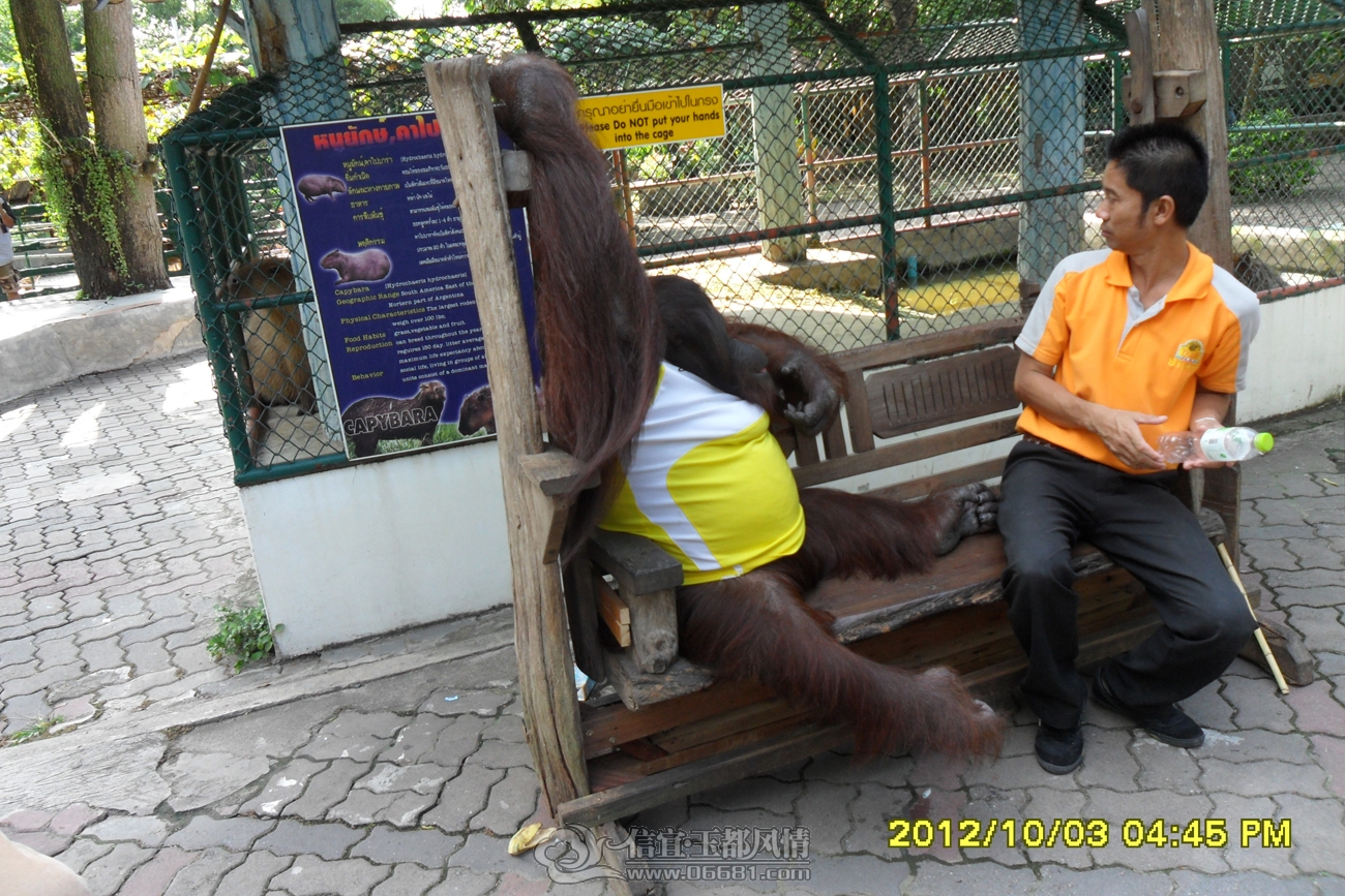 SAM_1208.jpg