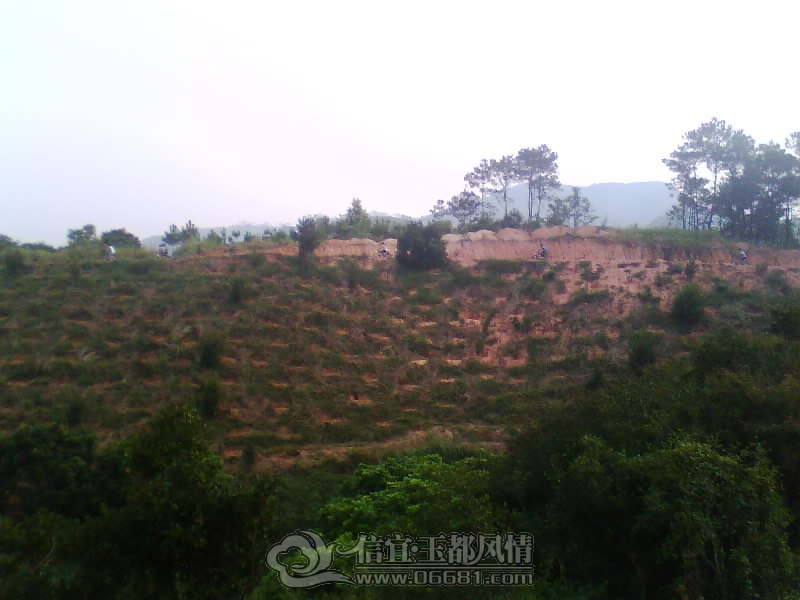 IMG0298A.jpg