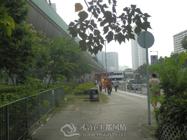 2012101408.jpg