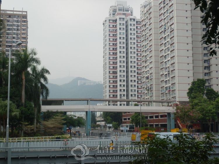 2012101409.jpg