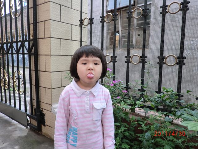 CIMG0512.JPG