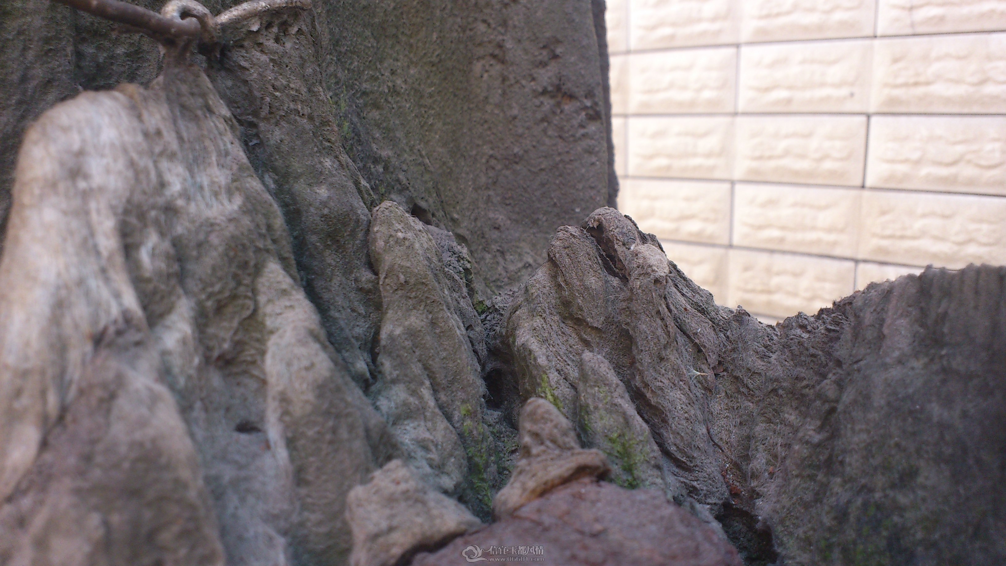 DSC_0096.JPG