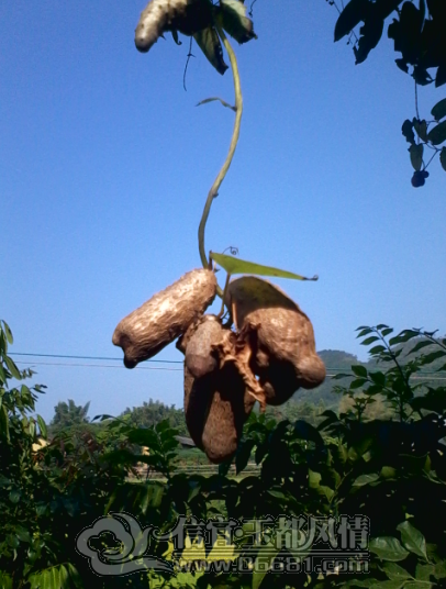 QQ��ͼ20121020190601.png