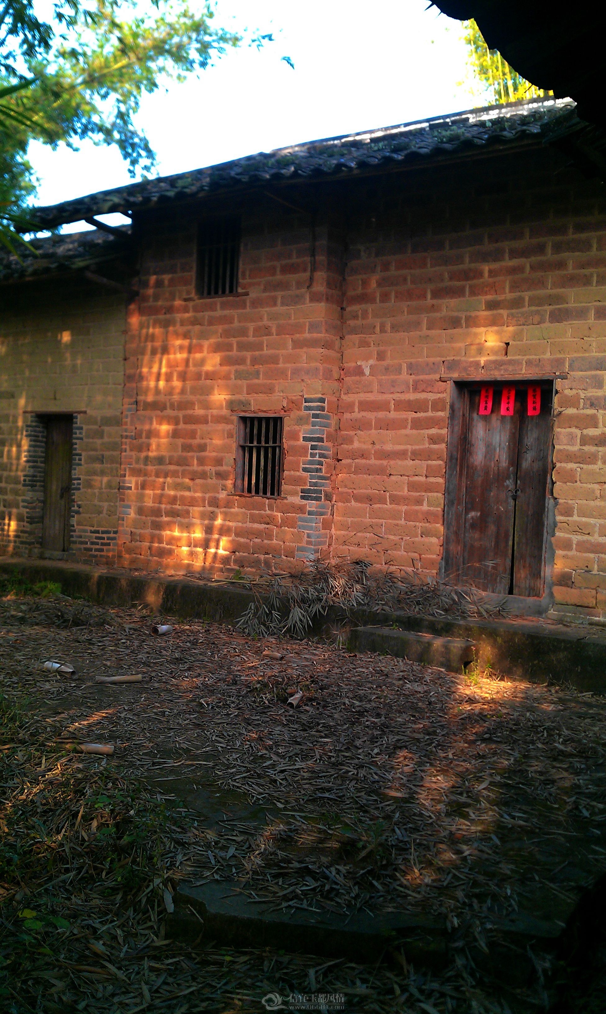 IMAG0155.jpg
