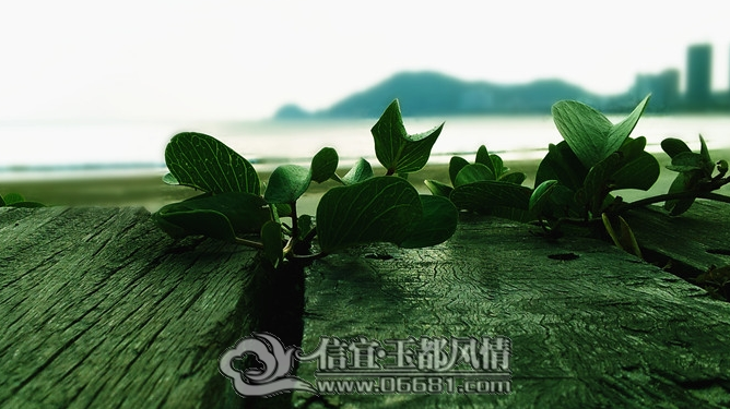 QQ��ͼ20121022223941.png