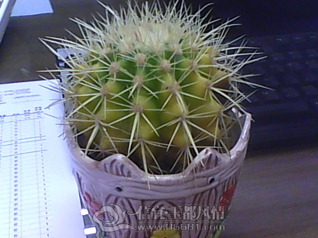 IMG1023092001.jpg