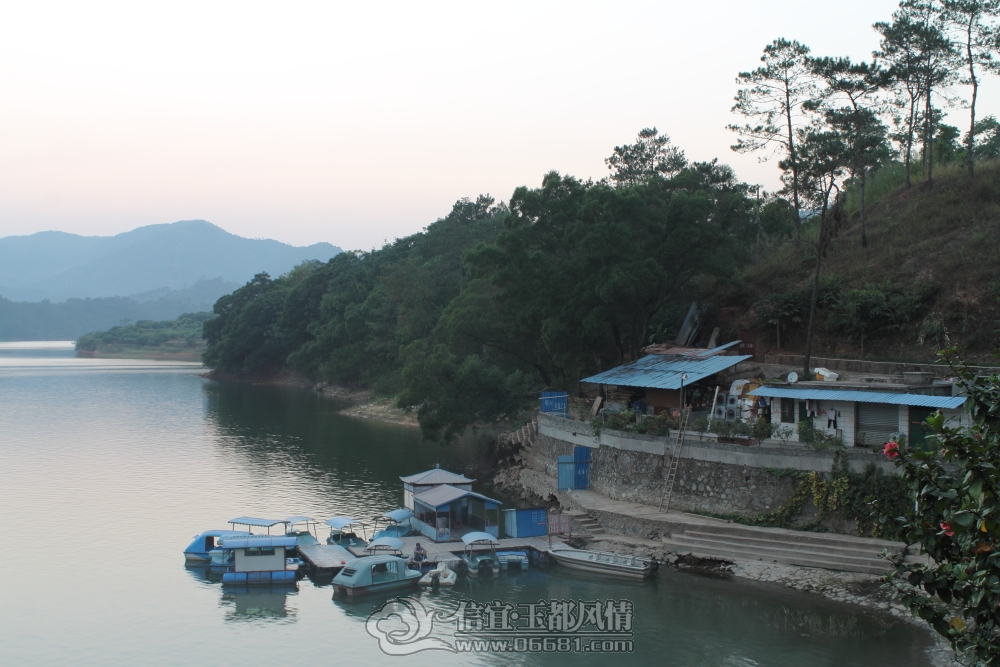 DPP_0056.JPG