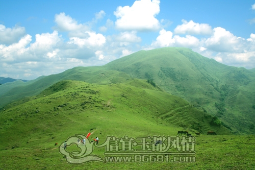 20100424083137.jpg