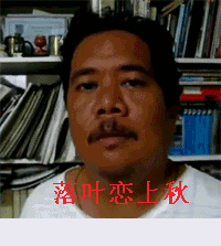 ��Ҷ������.gif