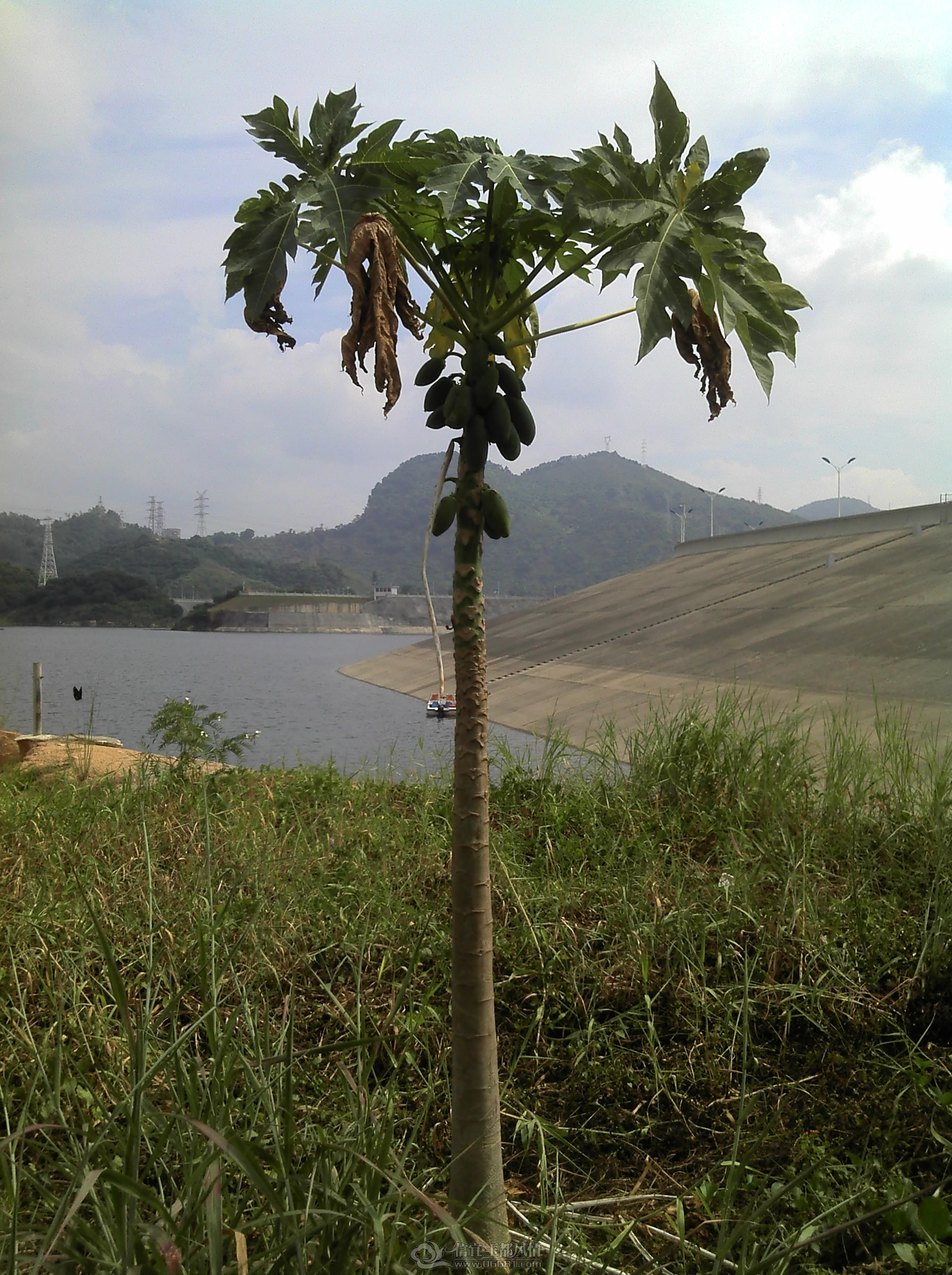 IMG_20121028_125122.jpg