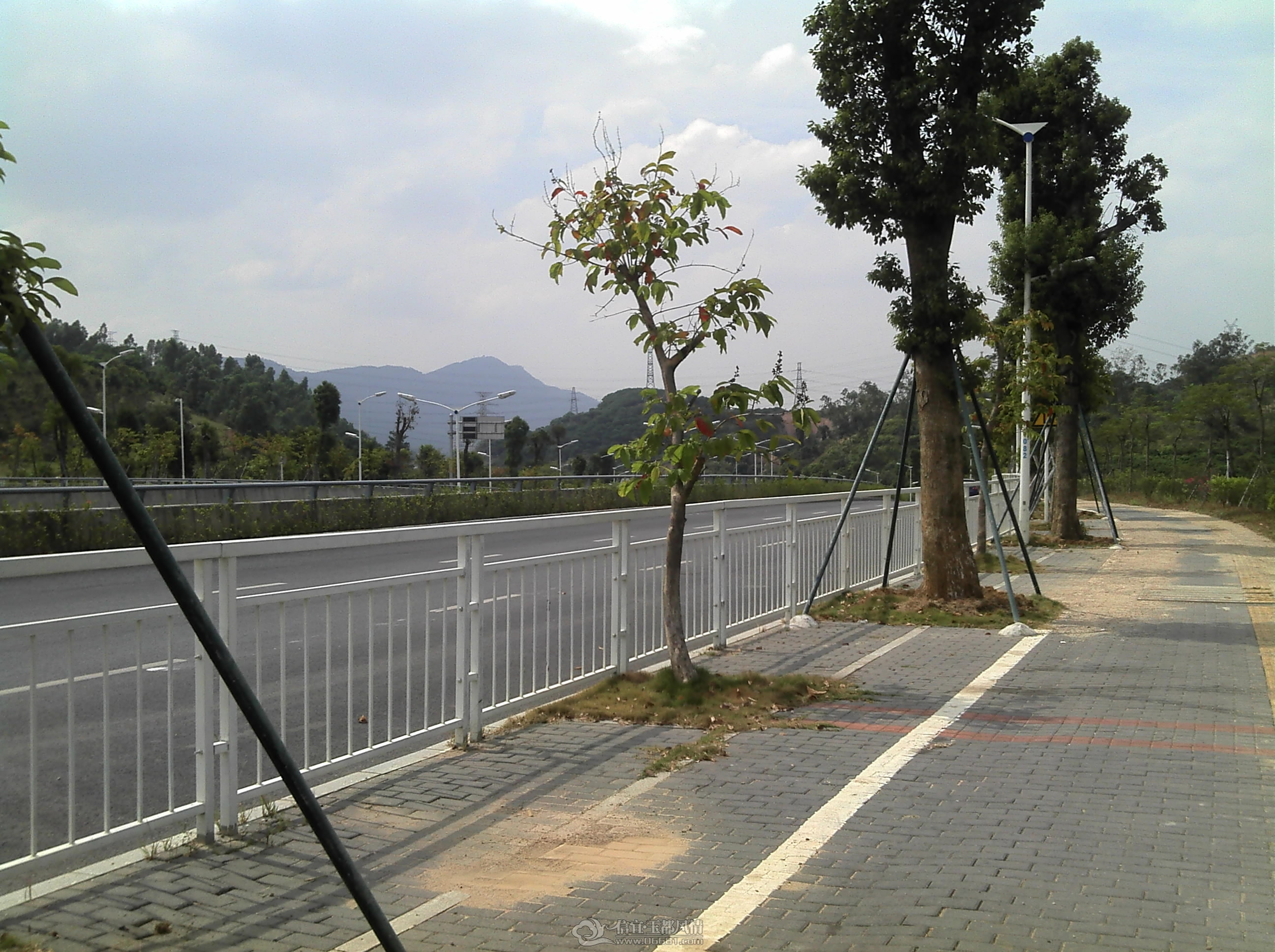 IMG_20121028_115442.jpg