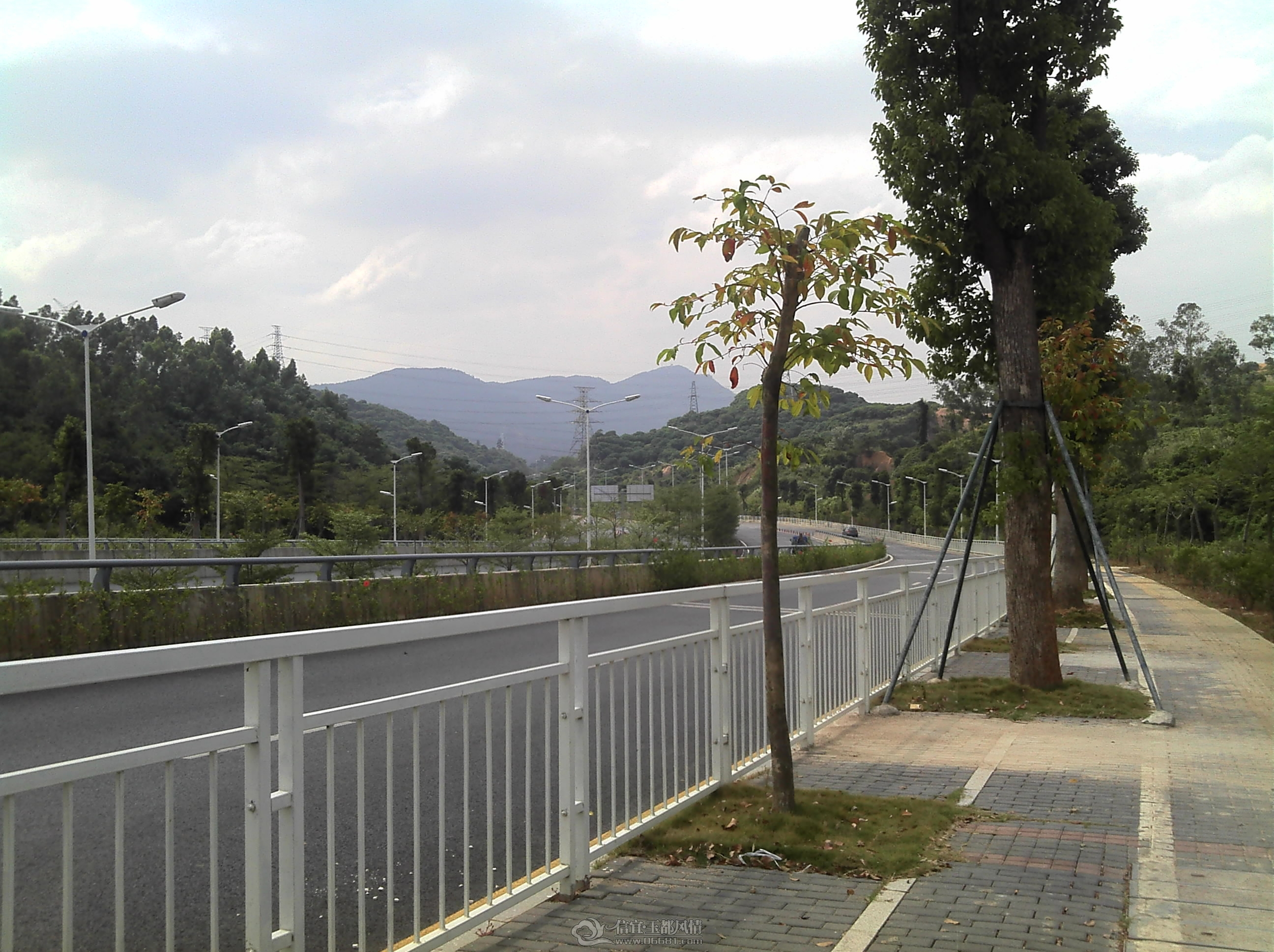 IMG_20121028_115629.jpg