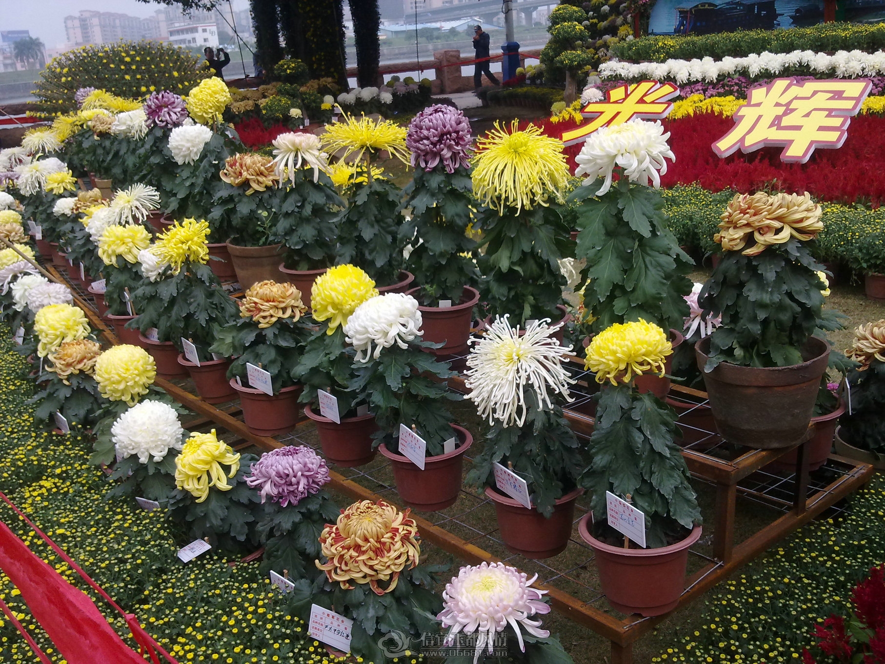 20111122148.jpg