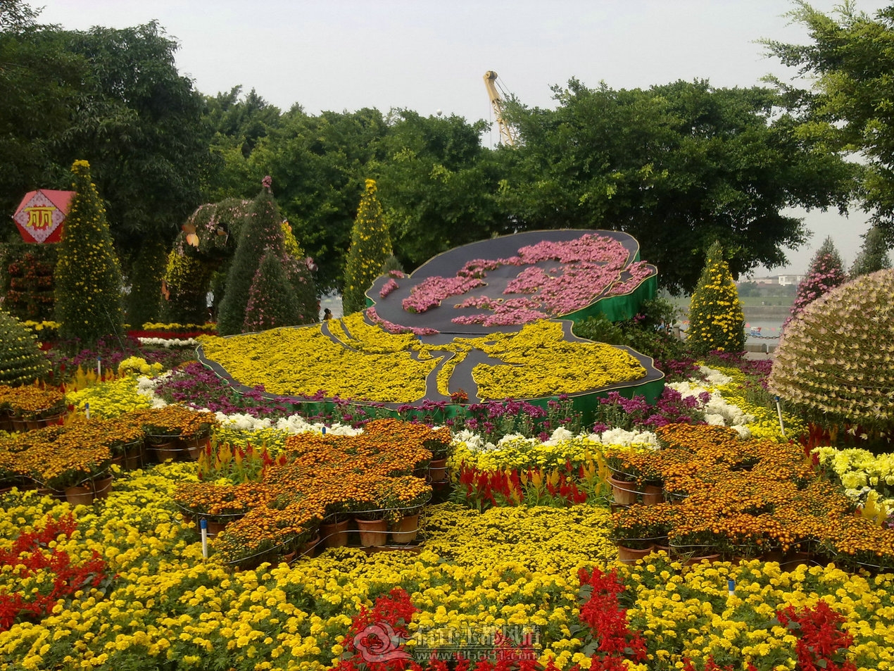 20111122155.jpg
