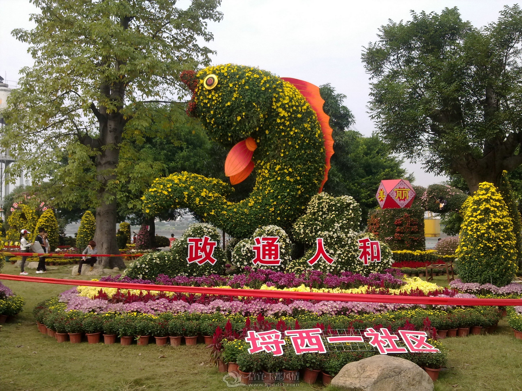 20111122157.jpg