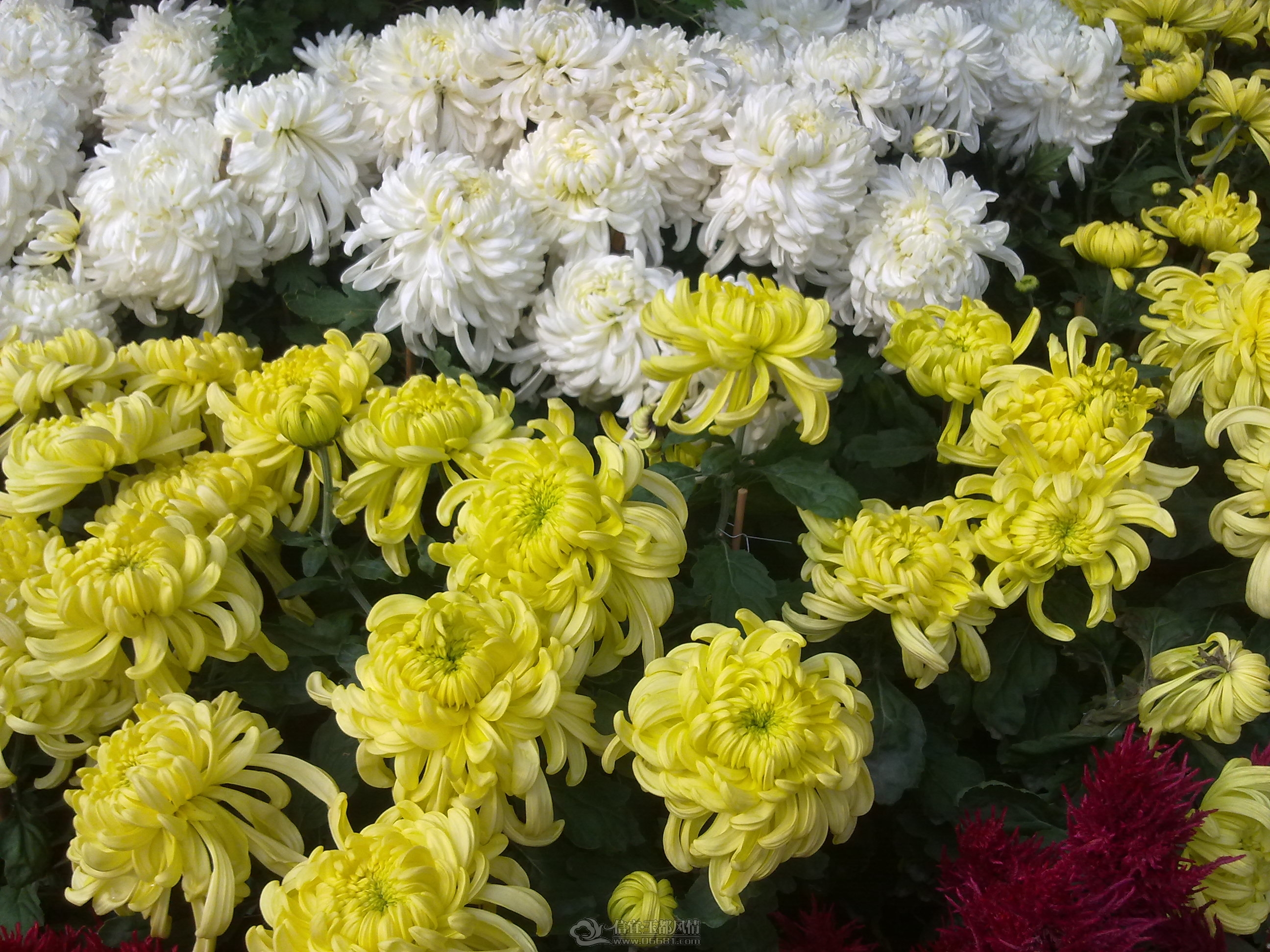 20111122167.jpg