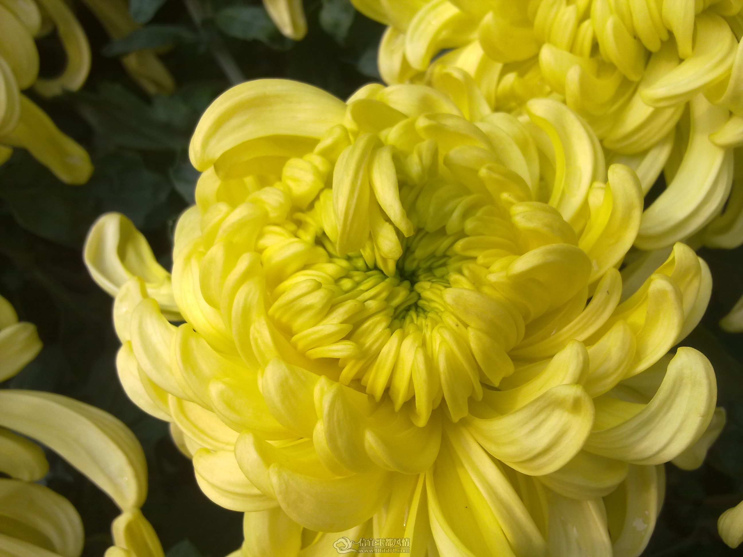 20111122168.jpg