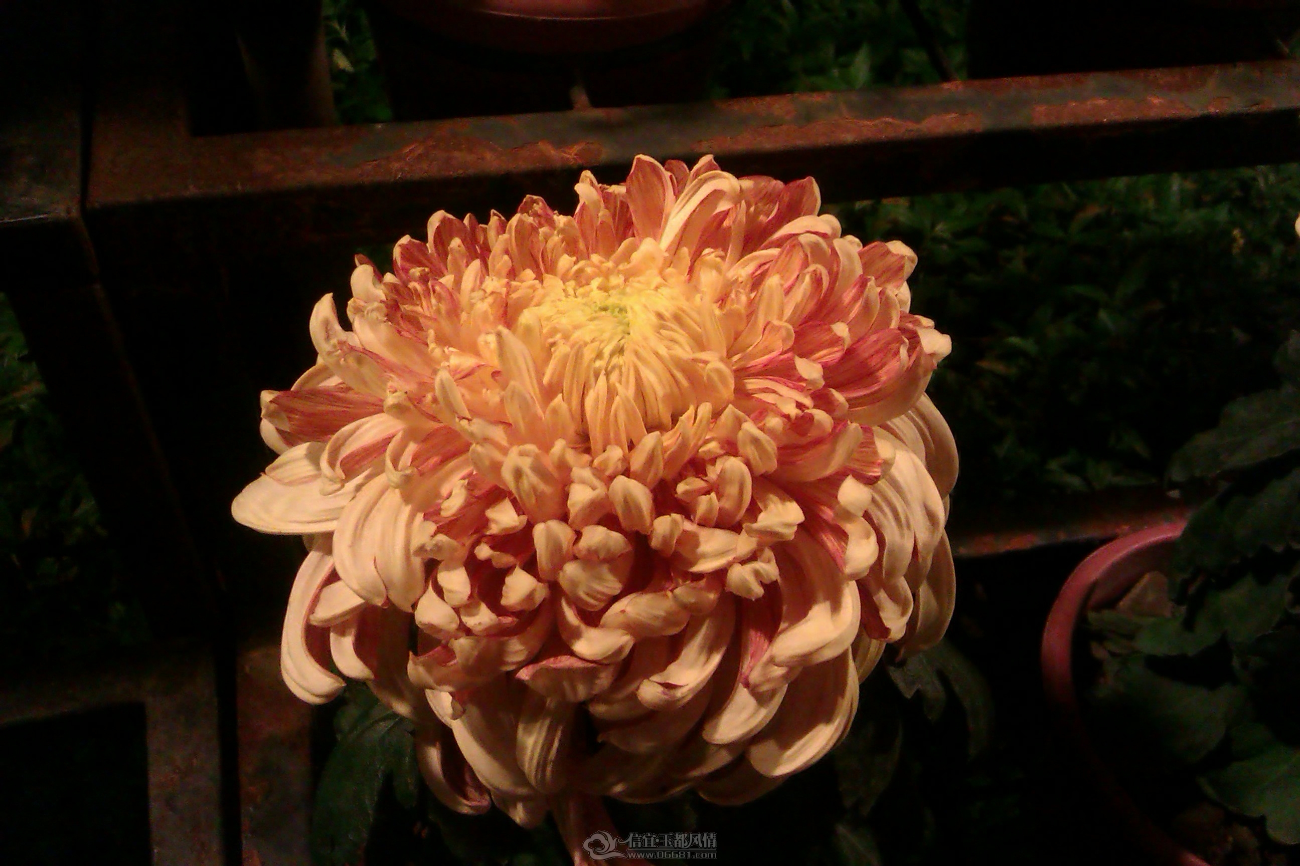 IMAG0133.jpg