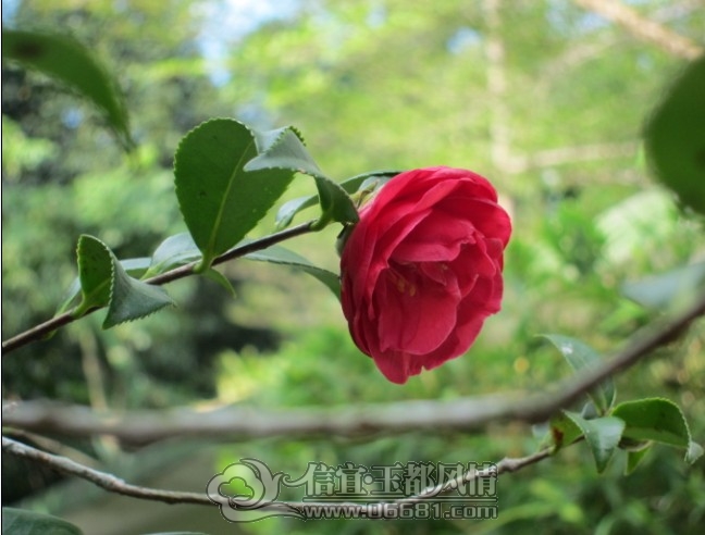 QQ��ͼ20121103172933.jpg