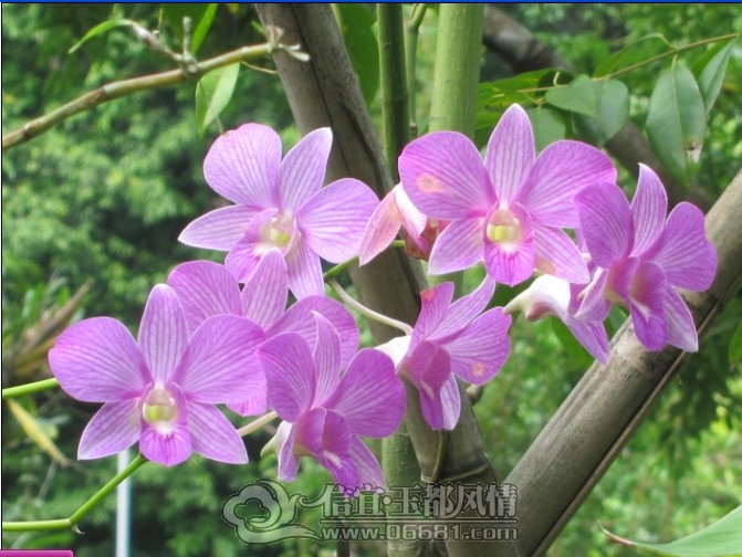 QQ��ͼ20121103172949.jpg