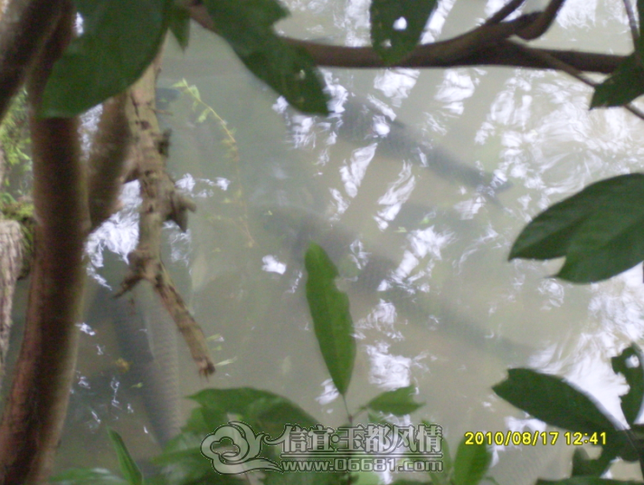 QQ��ͼ20121105000728.png