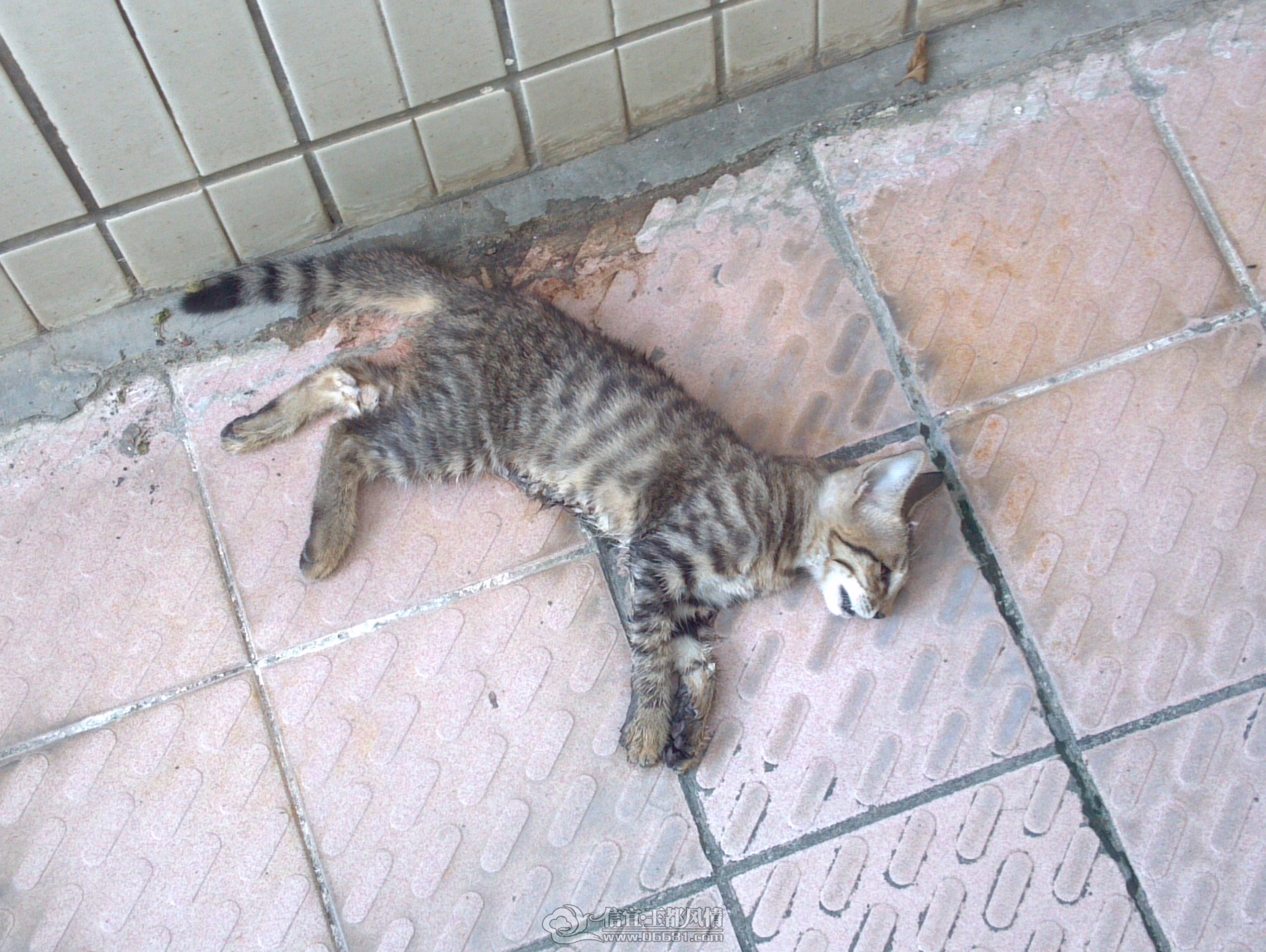 2012-11-05_09-01-25_348.jpg