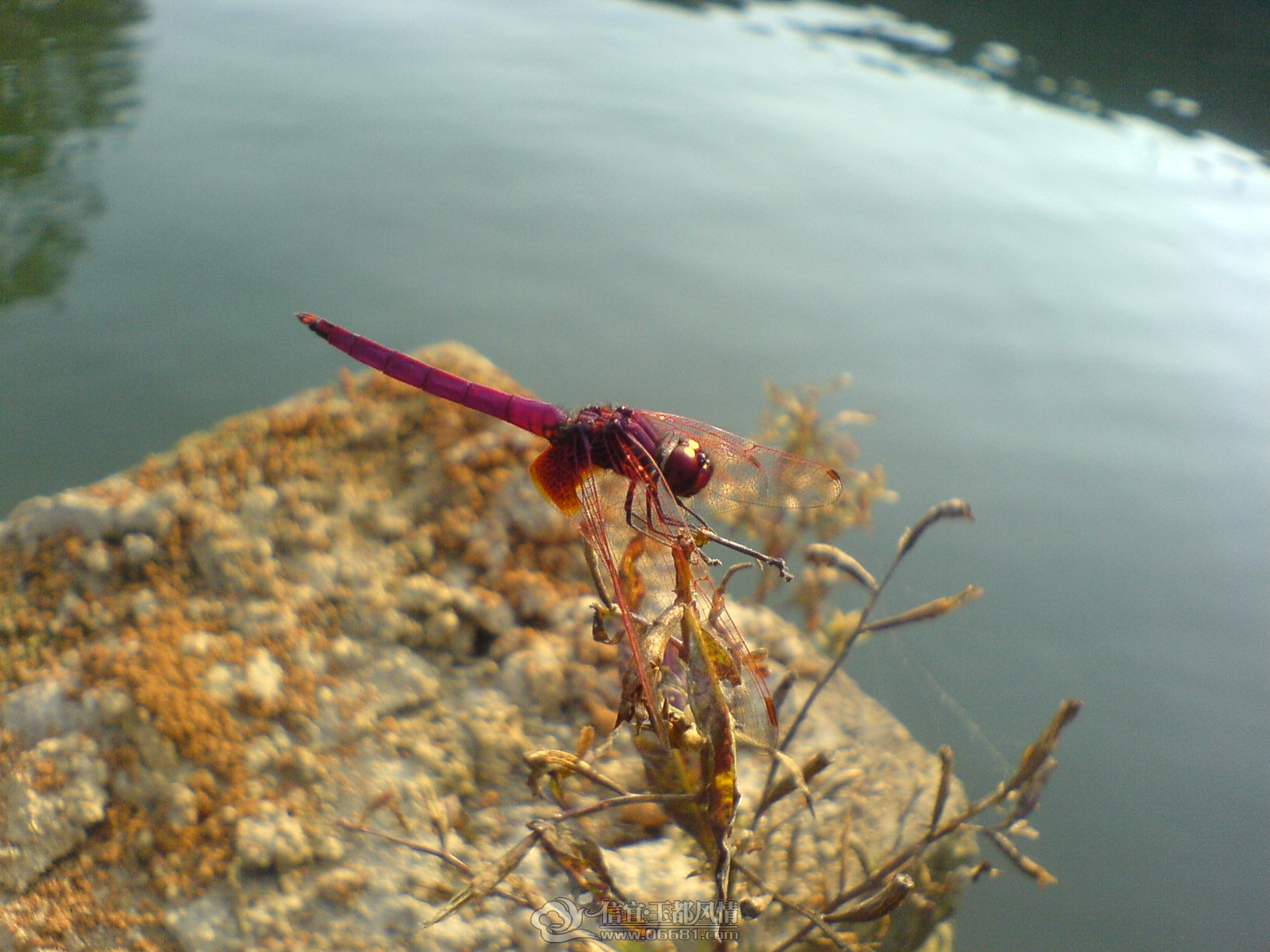 DSC01091.JPG