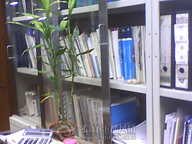 IMG1107165200.jpg