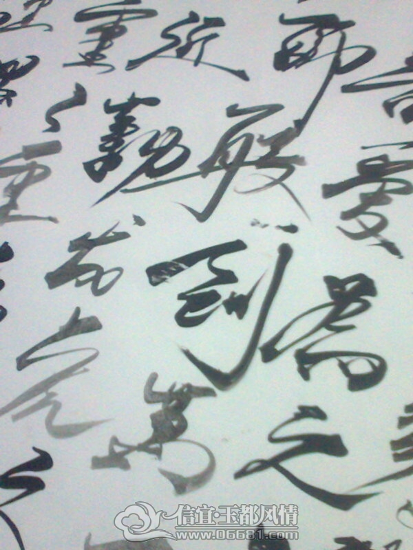 ��Ƭ0488.jpg