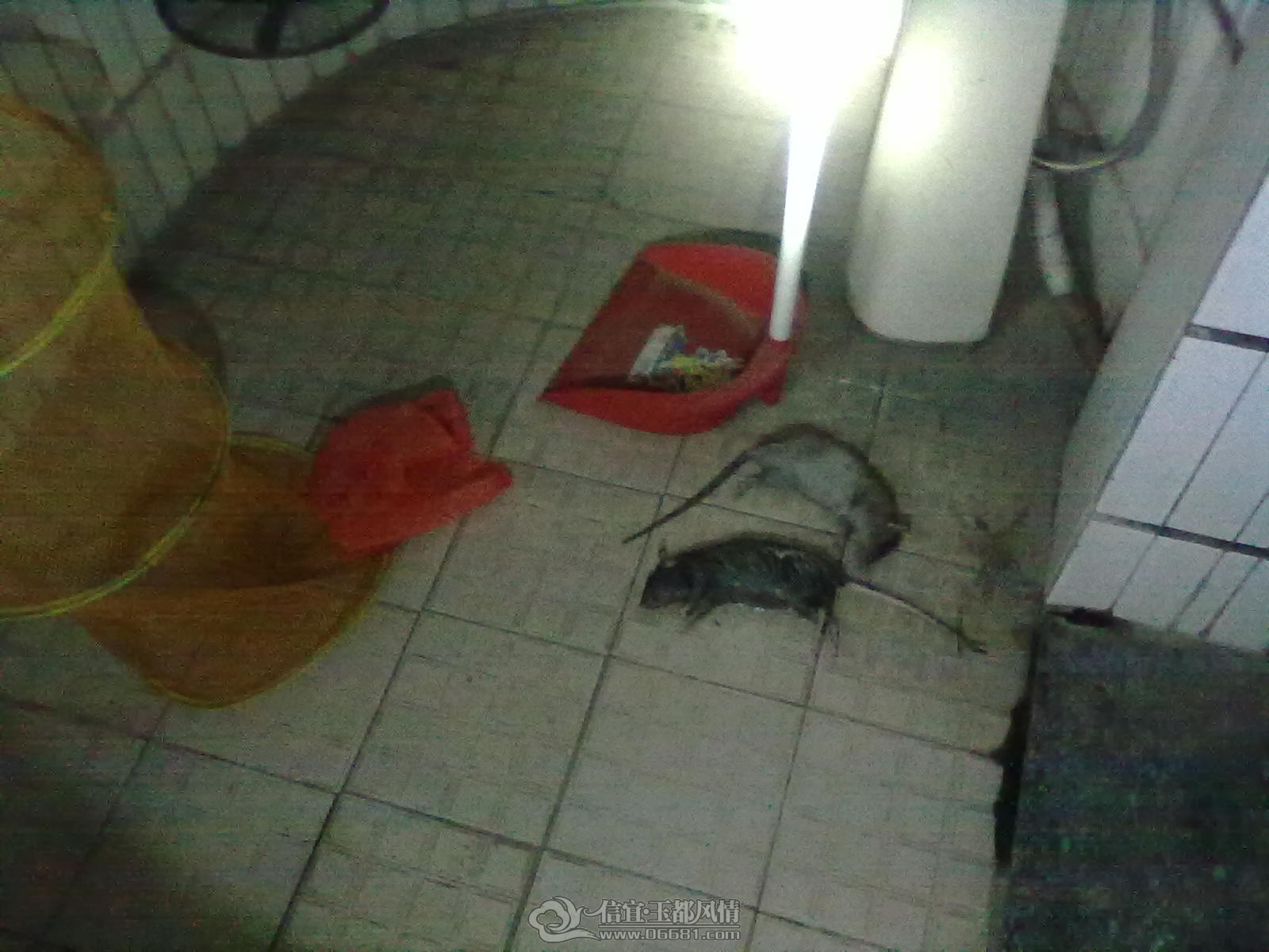 20121113430.jpg