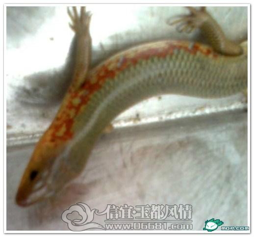 36.jpg