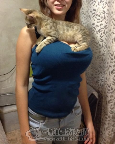 1352923736_kitten_gets_the_best_seat_in_the_house_01_1[1].jpg