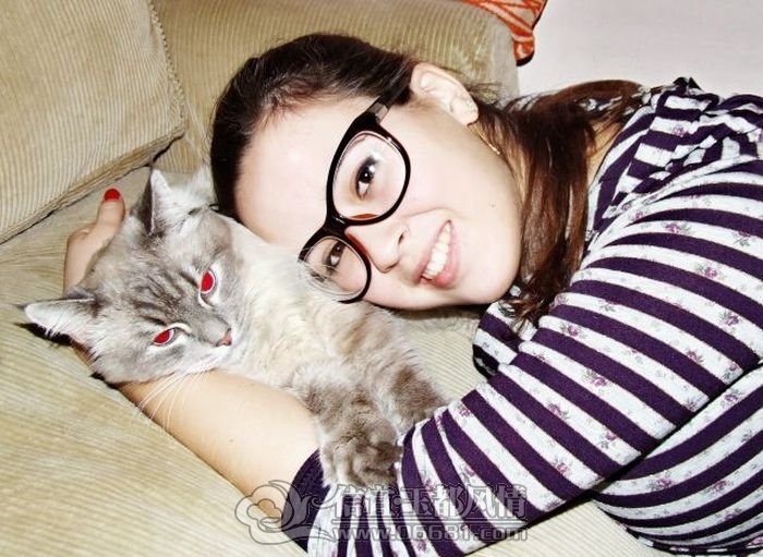 1352923740_kitten_gets_the_best_seat_in_the_house_04_1[1].jpg