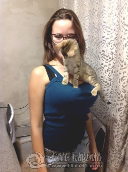 1352923744_kitten_gets_the_best_seat_in_the_house_03_1[1].jpg