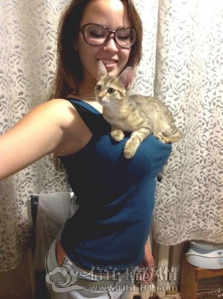 1352923752_kitten_gets_the_best_seat_in_the_house_02_1[1].jpg
