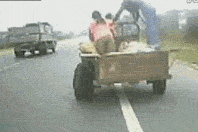 201221405931527.gif