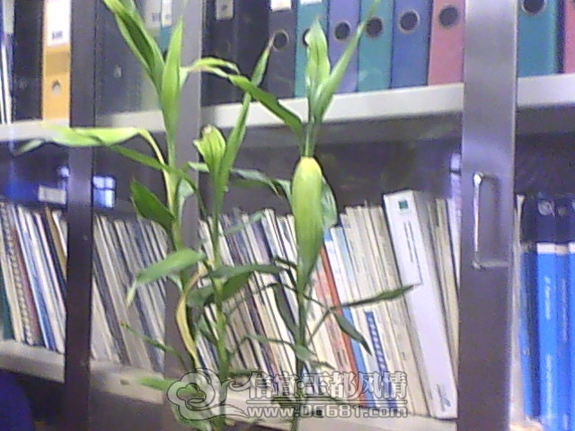 IMG1117160400.jpg