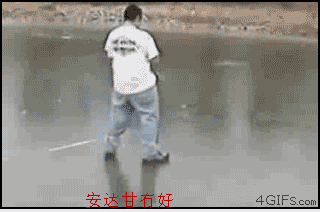 1.gif