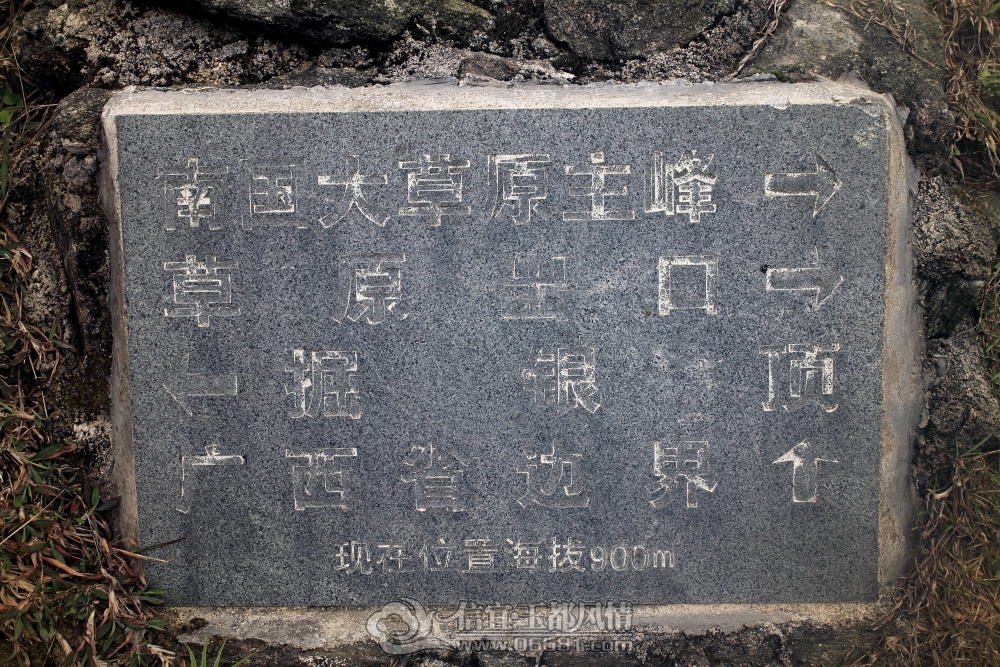 DPP_0107.JPG
