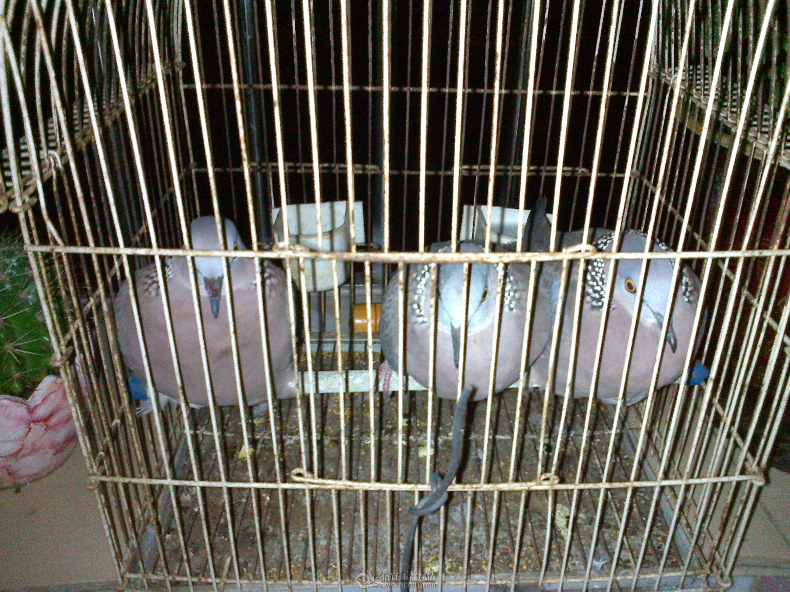20121125200.jpg