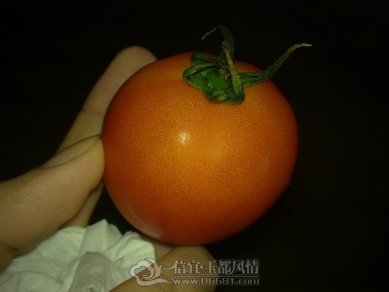 201211271965_meitu_3.jpg