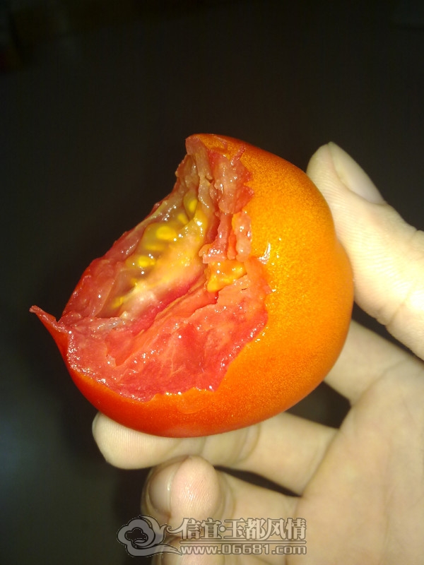 201211271966_meitu_4.jpg